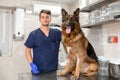 Young vet at the clinic with a dog German shepherd breed. Animal healthcare concept Royalty Free Stock Photo