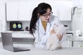 Young veterinarian examine a dog in clinic Royalty Free Stock Photo