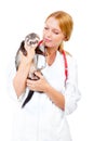 Young veterinarian examines a patient ferret