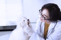Young veterinarian examining mouth of dog