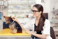 Young Veterinarian Female Doctor with Cute Dog Royalty Free Stock Photo