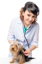 Young veterinarian listens to the heartbeat of the dog