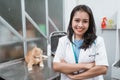 young veterinarian smiling at camera with crossed hands near a cat sits on the table Royalty Free Stock Photo