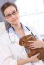 Young veterinary with cute patient