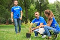 Young volunteers planting tree in park. Charity work