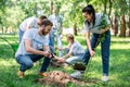 young volunteers planting trees in green