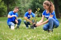 Young volunteers planting trees in park. Charity work