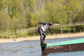 Young wakeboarder rides a wakeboard on the lake. Wakeboarding is cool, extreme sport