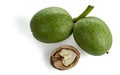 Young walnuts in green husks and with cracked shells.