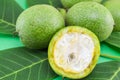 Young walnuts on walnut leaves