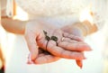 Young wedding bride holding traditional lock and key in her hands. Royalty Free Stock Photo