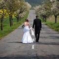 Young wedding couple