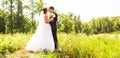 Young wedding couple enjoying romantic moments outside on a summer meadow Royalty Free Stock Photo