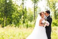 Young wedding couple enjoying romantic moments outside on a summer meadow Royalty Free Stock Photo