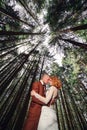 Young wedding hipsters couple groom and bride is hugging and kissing outdoors in the green forest on a summer day Royalty Free Stock Photo