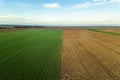 Young wheat seedlings. Aerial view Clouds over over green agricultural fields. Royalty Free Stock Photo