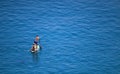 A young white Caucasian couple paddle boarding on the calm blue sea - man standing pushing an oar into the water, woman sitting on