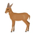 A young, wild antelope. A wild-footed animal of an antelope single icon in cartoon style vector symbol stock Royalty Free Stock Photo