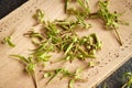 Young willow branches with bark and buds on a wooden cutting board