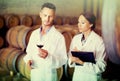 Young wine professional looking at wine sample in cellar