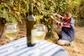 Young winemaker harvest the grape at his vineyard