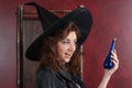 Young witch with potions Royalty Free Stock Photo