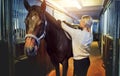 Young woman adjusting her horse`s saddle before a ride Royalty Free Stock Photo