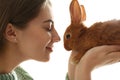 Young woman with adorable rabbit, closeup. Lovely pet