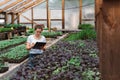 Young woman agronomist inspecting plants in greenhouse