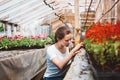 Young woman agronomist inspecting plants in greenhouse