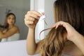 Young woman applying oil mask to hair tips in front of a mirror. Haircare concept. Focus on hair Royalty Free Stock Photo