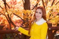 Young woman with autumn leaves. Royalty Free Stock Photo