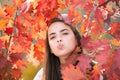 Young woman in autumn park. Warm sunny weather. Fall concept. Hello autumn. Happy woman with autumn yellow leaves Royalty Free Stock Photo