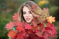 Young woman in autumn park. Warm sunny weather. Fall concept. Hello autumn. Happy woman with autumn yellow leaves Royalty Free Stock Photo