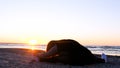 A young woman on the background of the sunset the sun on the seashore does exercises exercised by running, stretching and slumping