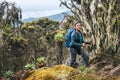 Young woman with backpack and trekking poles having a hiking walk on the Umbwe route in the forest to Kilimanjaro mountain. Active