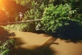 Young woman with backpack walking across hanging bridge above the river in tropical forest Royalty Free Stock Photo