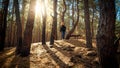 Young woman with backpack walking alone in pine tree forest at sunset Royalty Free Stock Photo