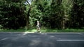 Young woman with backpack walking on the road on forest background side view