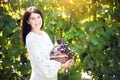 Young woman with a basket of grapes and bottles of wine at the vineyard. Royalty Free Stock Photo