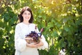 Young woman with a basket of grapes and bottles of wine at the vineyard. Royalty Free Stock Photo