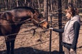 Young woman and beautiful brown horse standing behind the fence. Royalty Free Stock Photo