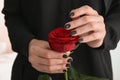 Young woman with beautiful manicure holding red rose, closeup Royalty Free Stock Photo