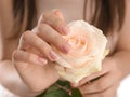 Young woman with beautiful manicure holding rose, closeup Royalty Free Stock Photo