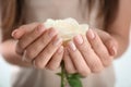 Young woman with beautiful manicure holding rose, closeup Royalty Free Stock Photo