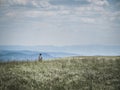 Young woman from behind rear view hiking backpacking trekking in the mountains, summer, Slovakia, Velka Fatra