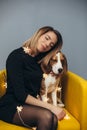 Woman hug puppy of beagle on yellow chair
