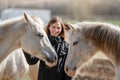 Young woman in black riding jacket standing near group of white Arabian horses smiling happy, one on each side, closeup detail Royalty Free Stock Photo