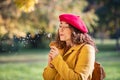 Young woman blowing dandelion flower at park Royalty Free Stock Photo