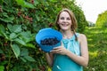 Young woman in blue dress picking blackberries